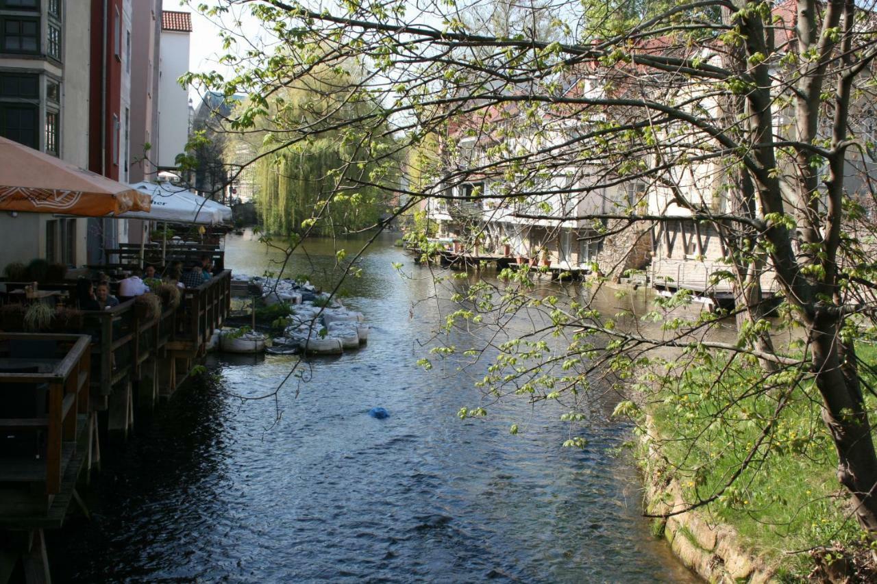 Am Puls Der Altstadt Эрфурт Экстерьер фото